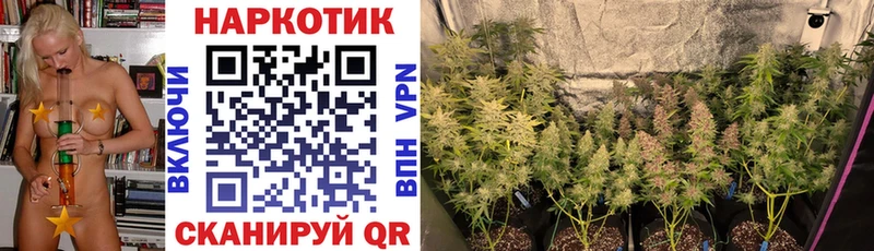 Где продают наркотики Тетюши мега ссылки  Альфа ПВП  Лсд 25  Кокаин  МЕФ  Гашиш 