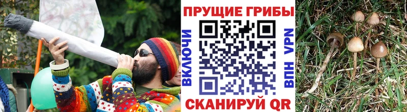 Псилоцибиновые грибы мухоморы  Тетюши 